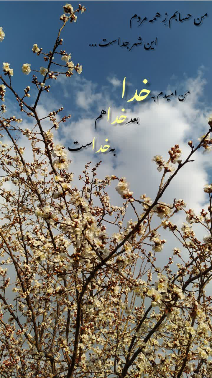 من قدرتمند